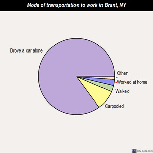 Brant mode of transportation to work chart