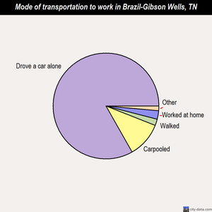 Brazil-Gibson Wells mode of transportation to work chart