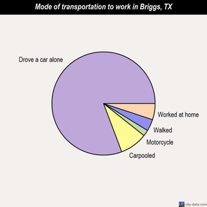 Briggs mode of transportation to work chart