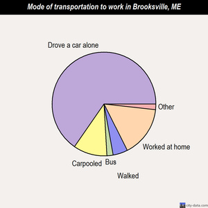 Brooksville mode of transportation to work chart