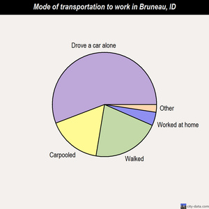 Bruneau mode of transportation to work chart