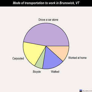 Brunswick mode of transportation to work chart