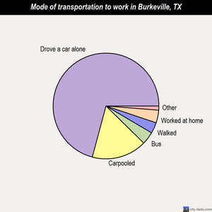 Burkeville mode of transportation to work chart