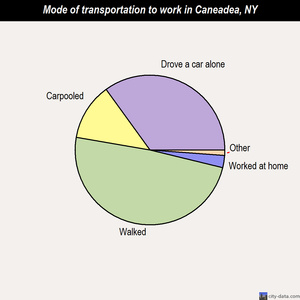 Caneadea mode of transportation to work chart