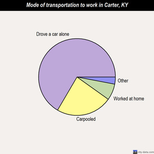 Carter mode of transportation to work chart