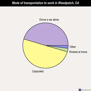 Weedpatch mode of transportation to work chart