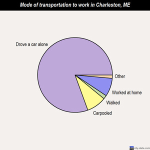 Charleston mode of transportation to work chart