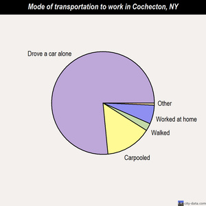 Cochecton mode of transportation to work chart