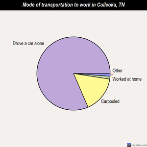 Culleoka mode of transportation to work chart
