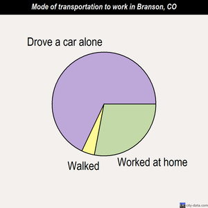 Branson mode of transportation to work chart