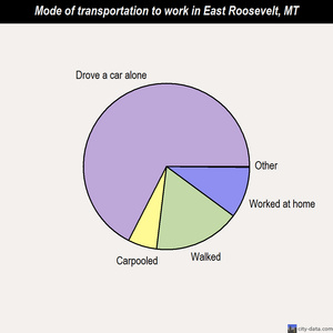 East Roosevelt mode of transportation to work chart