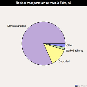 Echo mode of transportation to work chart