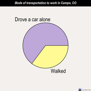 Campo mode of transportation to work chart
