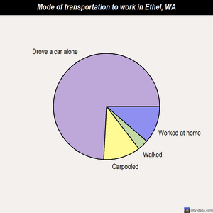 Ethel mode of transportation to work chart
