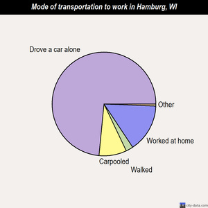 Hamburg mode of transportation to work chart