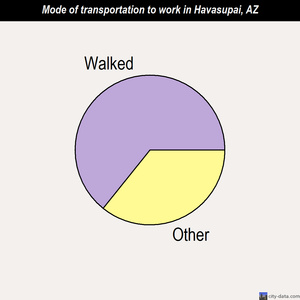 Havasupai mode of transportation to work chart