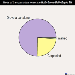 Holly Grove-Belle Eagle mode of transportation to work chart