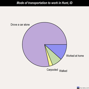 Hunt mode of transportation to work chart