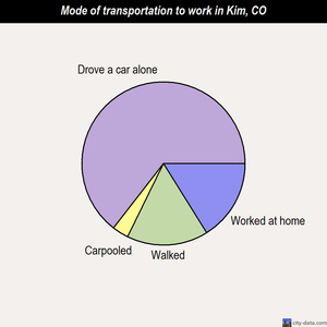 Kim mode of transportation to work chart