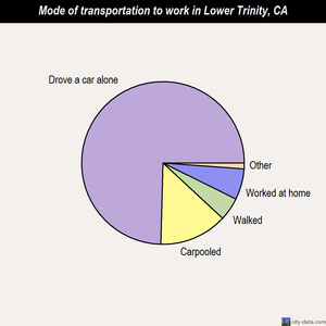Lower Trinity mode of transportation to work chart