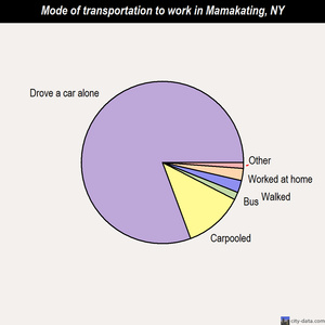 Mamakating mode of transportation to work chart