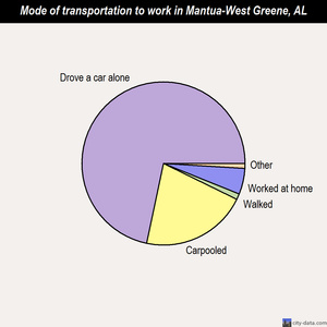 Mantua-West Greene mode of transportation to work chart