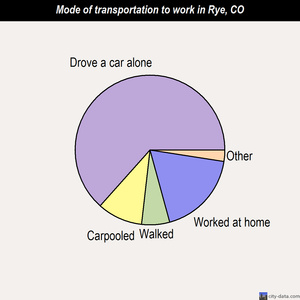 Rye mode of transportation to work chart