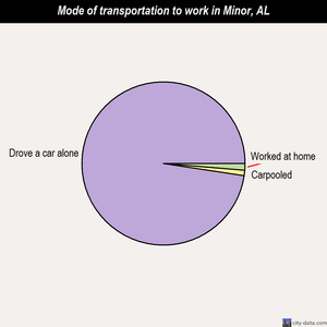 Minor mode of transportation to work chart