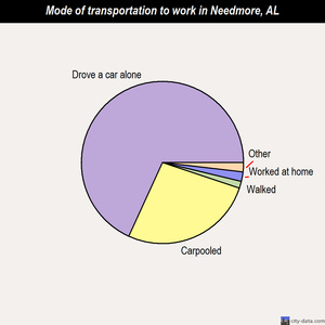 Needmore mode of transportation to work chart