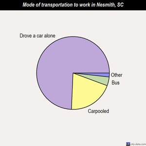 Nesmith mode of transportation to work chart