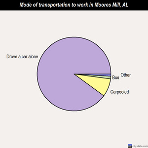 Moores Mill mode of transportation to work chart