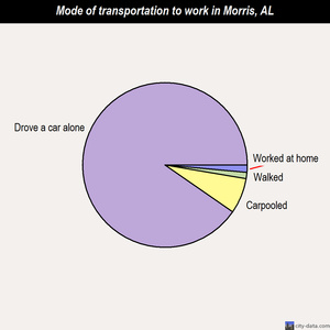 Morris mode of transportation to work chart