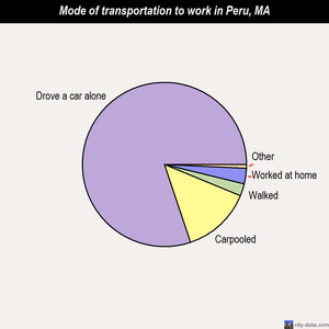 Peru mode of transportation to work chart