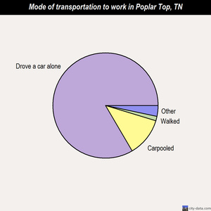 Poplar Top mode of transportation to work chart
