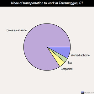 Terramuggus mode of transportation to work chart