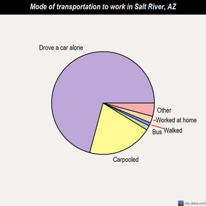 Salt River mode of transportation to work chart