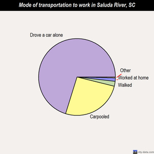 Saluda River mode of transportation to work chart