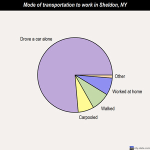 Sheldon mode of transportation to work chart