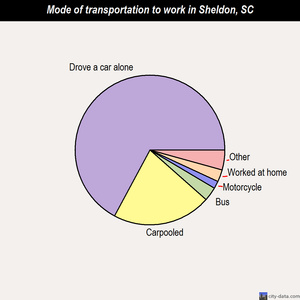 Sheldon mode of transportation to work chart