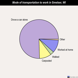 Smelser mode of transportation to work chart