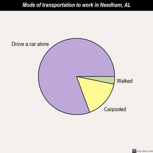 Needham mode of transportation to work chart