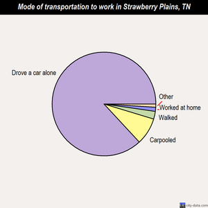 Strawberry Plains mode of transportation to work chart