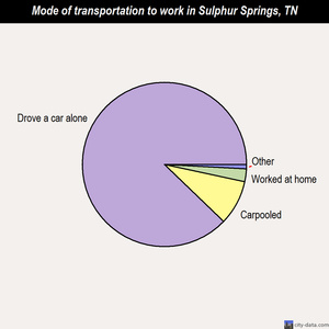 Sulphur Springs mode of transportation to work chart