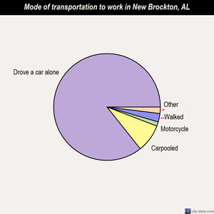 New Brockton mode of transportation to work chart