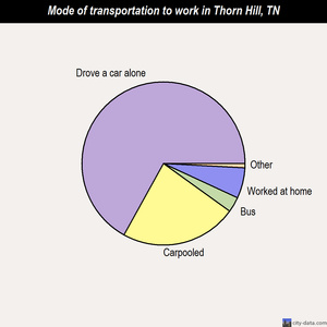 Thorn Hill mode of transportation to work chart