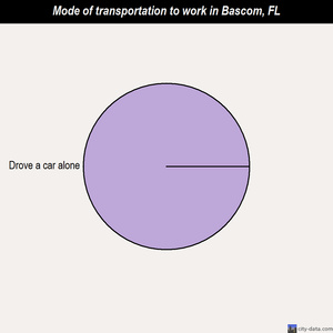 Bascom mode of transportation to work chart