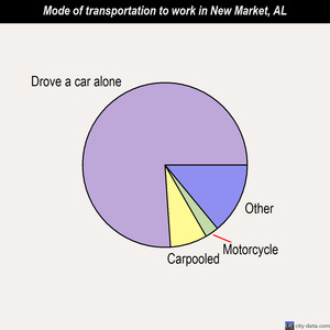 New Market mode of transportation to work chart