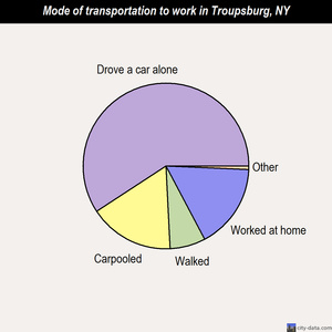 Troupsburg mode of transportation to work chart