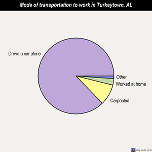 Turkeytown mode of transportation to work chart