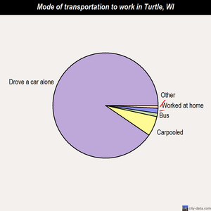 Turtle mode of transportation to work chart